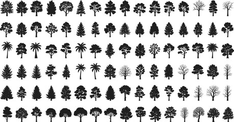 Tree silhouettes, botanical shapes, forest elements, natural diversity, conifer outlines, deciduous trees, palm silhouettes