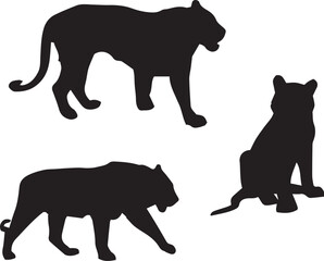 Tiger Animal Silhouette Vector set – Hunting and Relaxing Poses