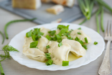 Delicious Ukrainian dumplings with steam and green onions