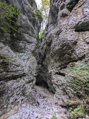 Deep narrow Pokljuka Gorge in Slovenia surrounded by steep cliffs, dense forest, and hiking trails.