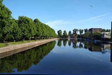 Fototapeta premium river in the park