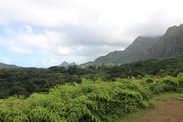 landscape of mountain