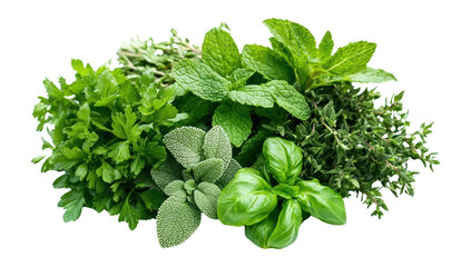 Obraz premium PNG Leaves herbs mint leaf.