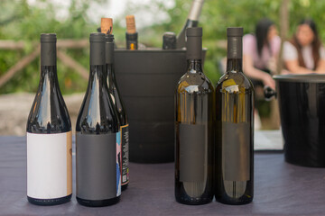 Degustazione di vini all'aperto