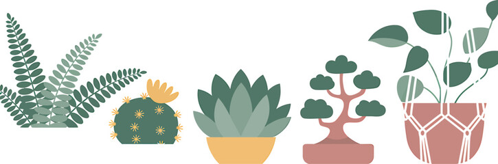 A row of potted plants including fern cactus and hanging plant on white background