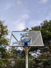 A basketball hoop on an outdoor court surrounded by tall green trees under a bright blue sky