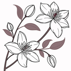 abstract floral background with clematis flowers