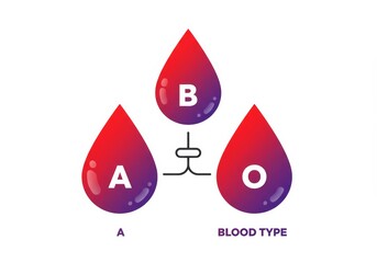 A simple yet effective illustration depicting three blood drops, labeled A, B, and O, connected by lines, representing the ABO blood type system. The gradient colors of the drops add visual appeal.