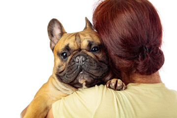 Woman holds a funny French bulldog in her arms.