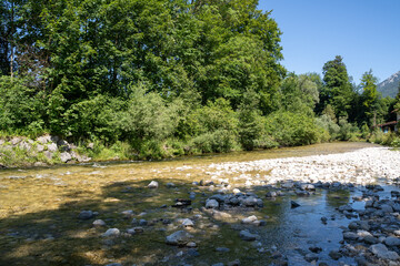 Mountain river with clear water and rocky shore surrounded by forest trees