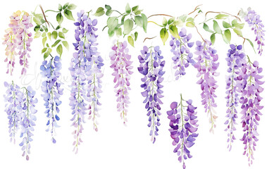 Watercolor Wisteria Clip Art Set, simple, minimalist, clip art style isolated on a transparent background