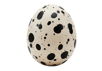 Isolated Textured Bird Egg with Dark Spots