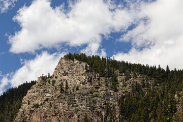 A mountain peak dominated by evergreen trees against a deep blue sky with large white clouds. 