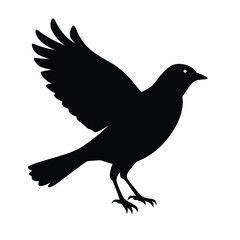 Bird icon silhouette illustration with white background)
