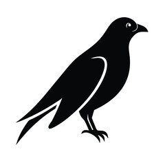 Bird icon, silhouette, logo on white background