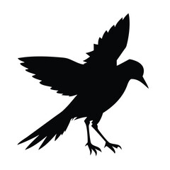 Bird icon silhouette illustration with white background)