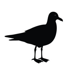Obraz premium Seagull silhouette vector black animal on white background