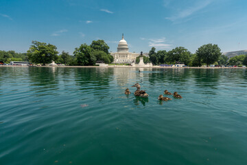 Capitol Reflecting Pool in Washington, DC. Capitol across the reflecting pool. Washington D.C....