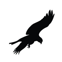 Vector silhouette of the Bird of Prey (Osprey) in flight with wings spread. on white background