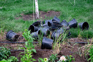 Empty black plastic flower pots lying on the grass after planting. Gardening waste during seasonal...