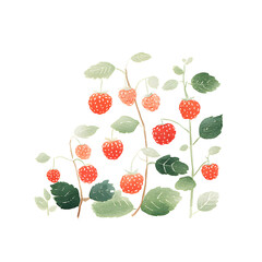 Strawberry plants thrive with ripe red berries hanging from lush green leaves, showcasing a lively arrangement. The fresh produce is perfect for summer desserts or snacks