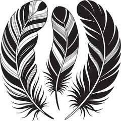 Obraz premium Three monochrome feathers with detailed line work arranged in a semi circle on a white background