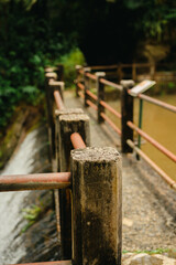 A weathered concrete bridge with railings stretches alongside a narrow jungle waterfall  in El Yunque National Forest, Puerto Rico