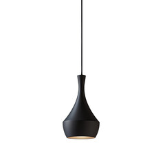 Sleek Modern Pendant Light: A minimalist black pendant light elegantly suspended, offering a touch of contemporary design, its sophisticated form enhancing any modern interior.