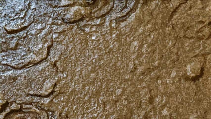 Mud texture