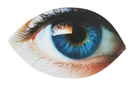 PNG Eye photography detail vivid.