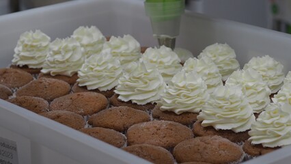 Industrial robotic arms applying creamy frosting on cupcakes, revealing automated muffin production...
