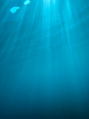 Light filtering down through blue water. Underwater sunlight in deep sea. Light viewed from blue...