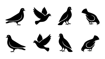 An illustration of different doves positions in black color