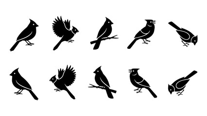 A collection of black cardinal illustrations in different poses against a solid background, showcasing the bird's unique features