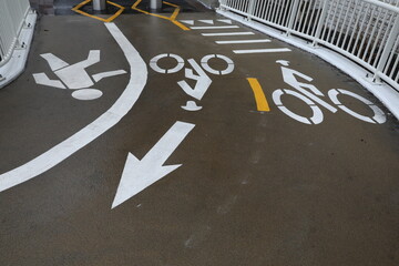 : Bicycle and Pedestrian Lane Markings on Wet Asphalt