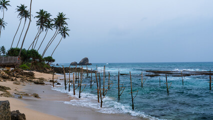 Stilt Fishing in Sri Lanka
