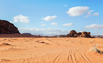 Red orange Wadi Rum desert, sandstone rocks formations background, vehicle tire prints near shrubs...