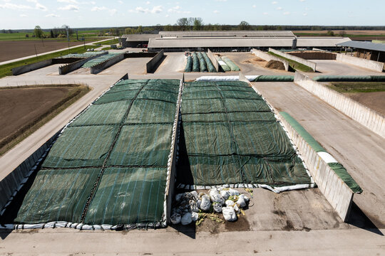 Large agricultural facility featuring silage pits covered with green tarps and white sandbags, surrounded by open farmland under a partly cloudy sky.