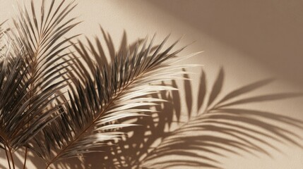 Obraz premium Palm leaf shadows cast against a neutral beige background