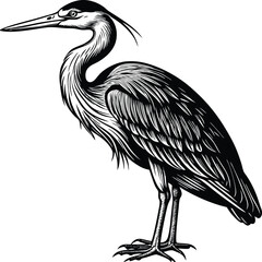 Elegant Grey Heron Bird Illustration Black and White Vector Art