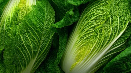 Top-down view of half a fresh Chinese cabbage forming a textured background