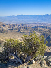Scenic view from Keys View at Joshua Tree National Park across Little San Bernardino Mountains into...