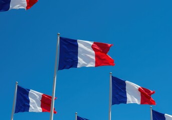 Many french flags wave proudly in the wind against a bright blue sky