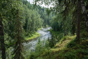 Obraz premium A river flows through a lush green forest Trees line its banks creating a vibrant scene