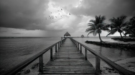 Obraz premium Black and white pier leading to a hut