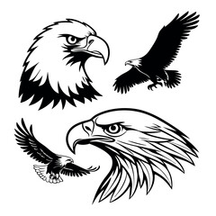 Majestic Eagles A Collection of Striking Eagle Head and Flight Illustrations, Perfect for Design Projects, Logos, and More.  These powerful bird illustrations capture the essence of freedom and power.