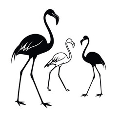 Fototapeta premium Elegant Flamingo Silhouettes A Trio of Graceful Birds in Black and White Illustration