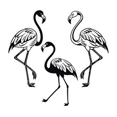 Obraz premium Elegant Flamingo Illustration A Trio of Graceful Birds, Perfect for Tropical Designs and Exotic Decor