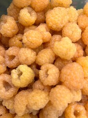 yellow raspberries for organic food