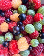 berry in assortment for food